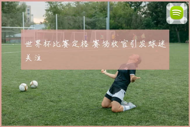 世界杯比赛定格 赛场收官引发球迷关注