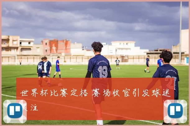 世界杯比赛定格 赛场收官引发球迷关注