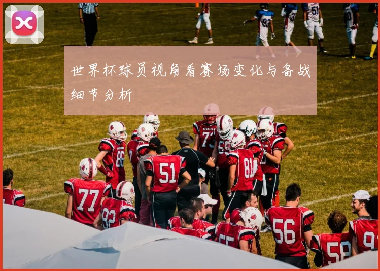 世界杯球员视角看赛场变化与备战细节分析